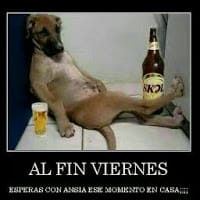 Tony Moreno