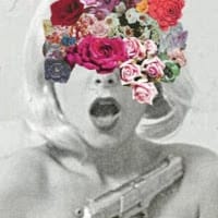 Carolina gracia noriega