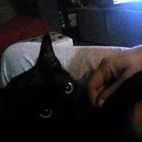 cloti marquez velasco