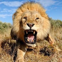 santiago jesus olivares duque