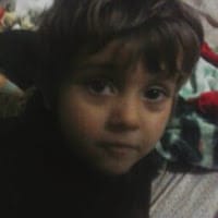 Alcides Guzman Soto Alvarez
