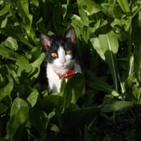 Marcela Alejandra Díaz