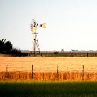 Canal Agropedidos