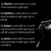 Oda MB