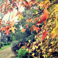 Maria Gabriela Garcia