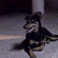 Julio Foster Navarro Macias