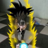 Erickazo santi