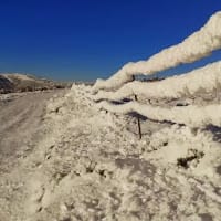 Hector Montoya Ortega