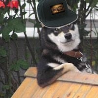 Lobo Swager