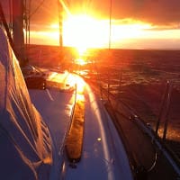 percebe la punta del muelle