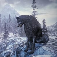 Snowsoul .