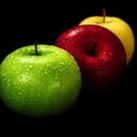 Maria Jose Ramos Alonso