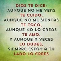 ricardo eldig mercado torres