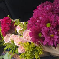 iris yañez martinez