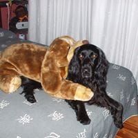 erika bañuelos toledo