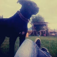 Gerardowski Morales Alcantar