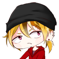 IM SL