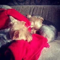 Pilar Gutierrez Alonso