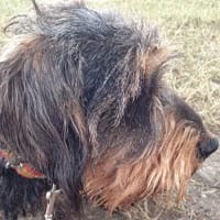 NATALIA DE CASTRO GARCIA