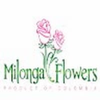 Facturacion Milonga