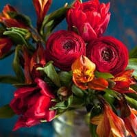 inmaculada cruz luque