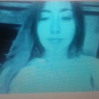 karina nicole apablaza saravia