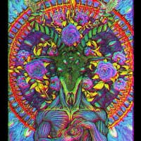 Maguy Acid