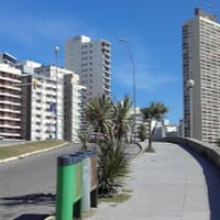 Mercedes Masid