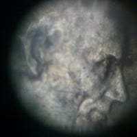 Horrores y Errores .