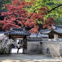 andrea castro cortes