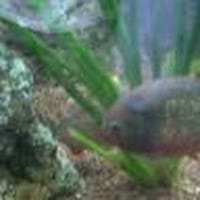 Miguel A. Ruiz Rumbo