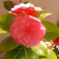 Sandra Cruz Fernández