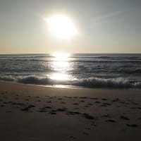 Rocio Ps