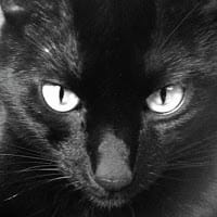 Jorge Garcia Martinez