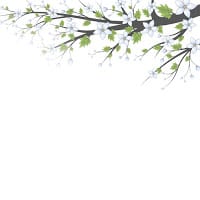 Carmen Del cerro Guerrero