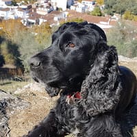 Jorge M