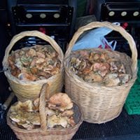 Venancio Carrascosa Garcia