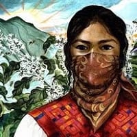 principiante resolviendo papeletas