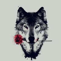 José pollo Hernandez