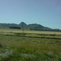 mañanita decampo