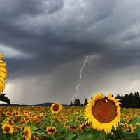 Julen Arruabarrena Tijero