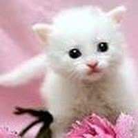 Yeimy Fernández González