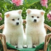 Zelia Erica  Fonseca Mota