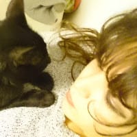 Elisa Belen Araya Poblete