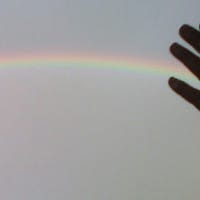 Maria Dolores Sanchez