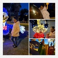 Diarisver Lahoz paulino