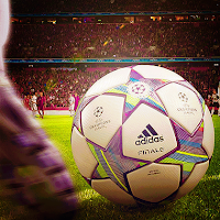 WILMER ALEXANDER FRANCO ROJAS