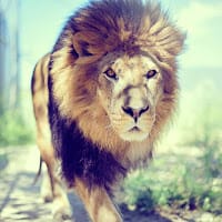 Jesus Espinoza Cerda