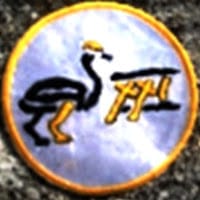 Explorador Ñandu XXI