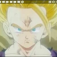 Marina Araceli Gómez Suberviola